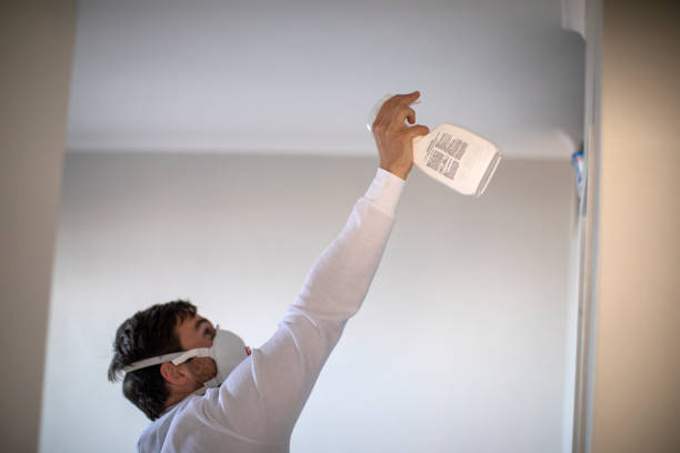 Best Crawl Space Mold Removal  in Oak Brook, IL
